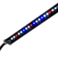 Finnex StingRAY Lámpara clip LED para acuario - BESTMASCOTA.COM