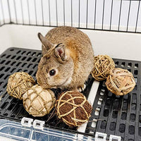 andwe - Pelotas de juguete para masticar juguetes para conejos, cobayas, conejos, conejos, chinchilla, conejito Degus, accesorios de entretenimiento para mascotas - BESTMASCOTA.COM