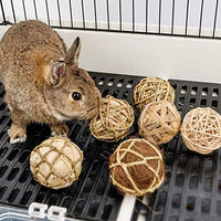 andwe - Pelotas de juguete para masticar juguetes para conejos, cobayas, conejos, conejos, chinchilla, conejito Degus, accesorios de entretenimiento para mascotas - BESTMASCOTA.COM