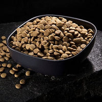 CRAVE Grain Free High Protein Adult Dry Dog Food, Salmon - BESTMASCOTA.COM