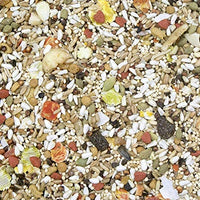 Higgins Safflower Gold Natural Food Mix for Conures & Cockatiels - BESTMASCOTA.COM