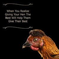 Equerry Huevo Boost de, 8 oz - BESTMASCOTA.COM