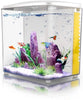 Freesea tanque de peces Betta de 1,4 galones con luz LED y bomba de filtro - BESTMASCOTA.COM