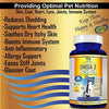 Snappies Petcare Omega 3 aceite de pescado para perros y gatos – Wild Islandic Natural sin olor líquido aceite de pescado Pet Suplemento con vitamina E – más EPA y DHA que el aceite de salmón para una nutrición óptima/salud - BESTMASCOTA.COM