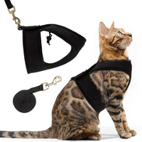 PUPTECK X-Figura Arnés para gato con correa – cuello ajustable a prueba de escape, chaqueta de malla para gatitos, cachorros - BESTMASCOTA.COM