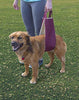 All Seasons Arnés elevador para perro para cirugía postoperatoria de piernas débiles traseras - BESTMASCOTA.COM