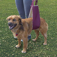 All Seasons Arnés elevador para perro para cirugía postoperatoria de piernas débiles traseras - BESTMASCOTA.COM