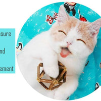 Deyace - Juego de 2 palos de gato, bolas de lana interactivas reemplazables, bolas de gato, pelotas de gato, juguetes divertidos para gatos, pelotas de gato, juguetes para perseguir a los gatos, 2 unidades - BESTMASCOTA.COM