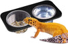 Bowls Gecko Feeding Ledge, Reptile Suction Cup Food Dish for Snakes Lizards Spiders Chameleons Corn Snakes Iguanas Reptiles - BESTMASCOTA.COM