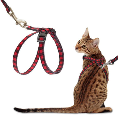 PUPTECK Arnés para gato con correa – Correa suave ajustable con arnés estilo figura 8 pulgadas, adorable y especial - BESTMASCOTA.COM