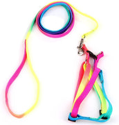 yueton Perro Mascota Cachorro Gato Kitty ajustable Nylon Correa arco iris perro pecho correas Cadena Siete Color tracción dorsal torácica Suits perro Cuerda Cadena De Correa De Perro - BESTMASCOTA.COM
