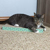 Kitty City XL Wide Premium Scratching Collection, Corrugate Cat Scratchers 2 Pieces, Cat Scratching Toy - BESTMASCOTA.COM