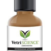 VetriScience Laboratories - Vetri DMG Liquid, Endurance and Immune Support for Cats, Dogs and Birds - BESTMASCOTA.COM