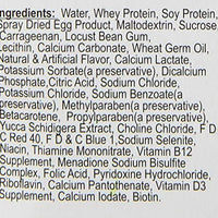 Mordeduras de zona natural para dragones barbudos - BESTMASCOTA.COM