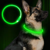 BSEEN Collar LED para perro, recargable por USB, collar brillante para perro para la seguridad nocturna, collar de moda para perros pequeños, medianos y grandes - BESTMASCOTA.COM