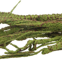 emours flexible bend-a-branch Jungle Vines Pet Habitat Decoración para Lizard, ranas, serpientes y más Reptiles, pequeño, 3.2 ft – Guantes largos - BESTMASCOTA.COM