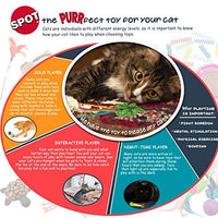 Spot Cat or Kitten Colorful Fun Tubos - BESTMASCOTA.COM