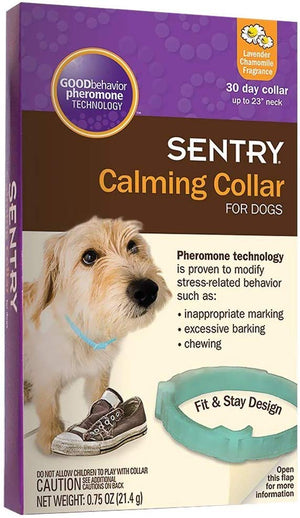 Sentry - Collar relajante para perros - BESTMASCOTA.COM