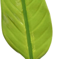 Zoo Med Betta Hoja de cama hamaca - BESTMASCOTA.COM