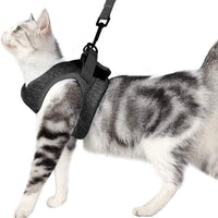 Yult Arnés y correa para gatos – Ultra ligera a prueba de escape, collar de gatito, chaqueta de senderismo con amortiguación para correr, suave y cómodo, adecuado para cachorros conejos - BESTMASCOTA.COM