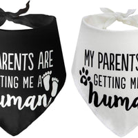 JPB My Parents are Getting Me a Human2 Pack Bandana para perro con revelación de género - BESTMASCOTA.COM