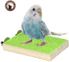 Colorido soporte para perca de pájaro, plataforma de madera natural para parque de recreo, molienda de patas, limpieza para mascotas, loros, parakeet, cacatías, conure Lovebirds - BESTMASCOTA.COM