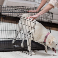Jaula de alambre con abertura doble ProValu, Negro - BESTMASCOTA.COM