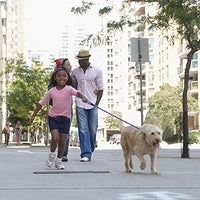 Correa Coolrunner collar de entrenamiento para mascota de Cesar el encantador de perros - BESTMASCOTA.COM
