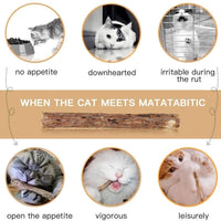 Deyace Catnip Sticks 40 piezas Orgánica Gato Catnip Juguetes Natural Planta Matatabi Plata Vina Masticar Palos Gato Dientes Limpieza Masticar Juguete para Gato Gatito Kitty (40 piezas) - BESTMASCOTA.COM