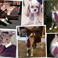 Ajustable de sarga algodón Tie Fit for Gatos por el kailian - BESTMASCOTA.COM