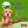 GigaBite Odor-Free Braided Bully Sticks - USDA & FDA Certified All Natural, Free Range Beef Pizzle Dog Treat – By Best Pet Supplies - BESTMASCOTA.COM