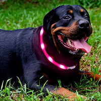 Collar LED para perro, recargable por USB, collar brillante para perro, cuello iluminado, mejora la seguridad y visibilidad de la mascota en la noche, 3 modos intermitentes, resistente al agua, collar iluminado para perros pequeños y medianos grandes - BESTMASCOTA.COM