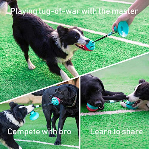 Juguetes interactivos para perros con cuerda y bola chirriante, juguetes  duraderos para perros para aburrimiento y estimulación, juguetes de tira y