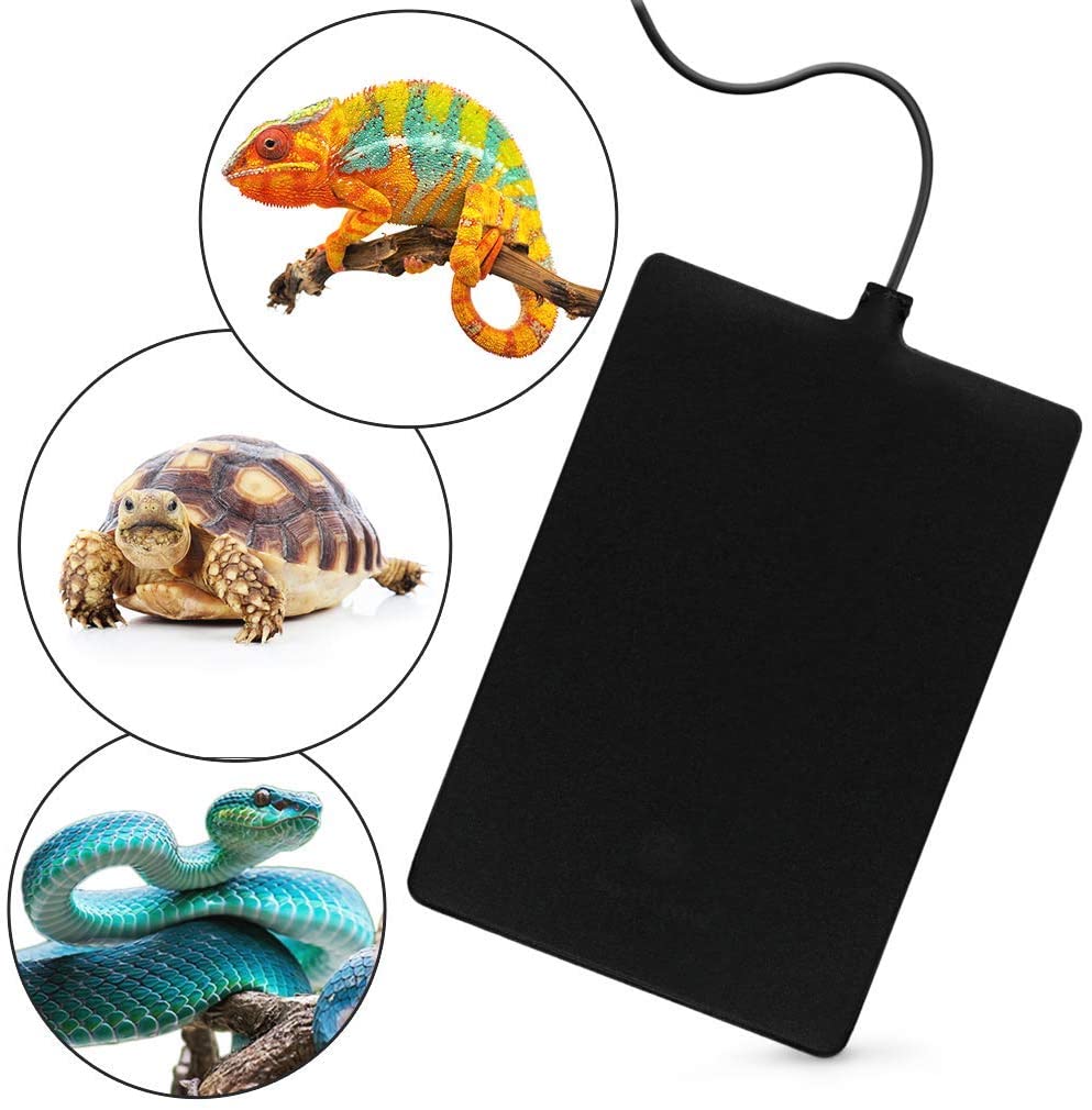 Heating pad shop for reptile tank