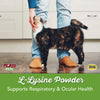 Now Pet Health, suplemento de lisina, en polvo, formulado para gatos, certificado por la NASC, 8 onzas - BESTMASCOTA.COM