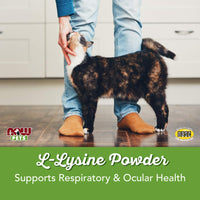 Now Pet Health, suplemento de lisina, en polvo, formulado para gatos, certificado por la NASC, 8 onzas - BESTMASCOTA.COM