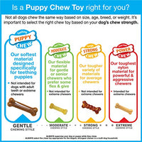 Nylabone Puppy Chew & Dura Chew Peanut Butter Bone Twin Pack Dog Toy - BESTMASCOTA.COM