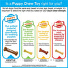 Nylabone TeeThe 'N Tug Puppy Chew Toy - BESTMASCOTA.COM