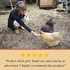 Scratch and Peck Feeds - Cluckin' Good Grit Supplement for Chickens and Ducks - 7-lbs - BESTMASCOTA.COM