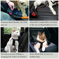 Cinturones de asiento de coche para perros y gatos – Evita el estrés de viaje – permite respirar aire fresco sin mascotas saltando – Soporta todos los coches - BESTMASCOTA.COM