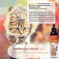 ArthriMAXX Joint Supplement and Wellness Support for Dogs and Cats - BESTMASCOTA.COM