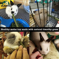 ULIGOTA Timothy - Palos de hámster para masticar hámster - BESTMASCOTA.COM