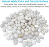 M--saltar 2 libras 1" – 2" grava tamaño natural piedras decorativas blanco pulido guijarros uso en cristalería, como jarrones, acuarios y terrarios para mejorar la apariencia - BESTMASCOTA.COM