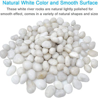 M--saltar 2 libras 1" – 2" grava tamaño natural piedras decorativas blanco pulido guijarros uso en cristalería, como jarrones, acuarios y terrarios para mejorar la apariencia - BESTMASCOTA.COM