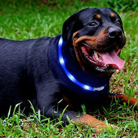 Collar LED para perro, recargable por USB, collar brillante para perro, cuello iluminado, mejora la seguridad y visibilidad de la mascota en la noche, 3 modos intermitentes, resistente al agua, collar iluminado para perros pequeños y medianos grandes - BESTMASCOTA.COM