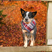 Segarty Bandana para perro, bufandas para cachorros pequeños, medianos, grandes, a cuadros, reversibles, para mascotas, bandanas, accesorios, juego de pañuelos triangulares - BESTMASCOTA.COM