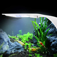 Lámpara LED para acuario de 10 W, muy delgada, 5730, para iluminación de plantas acuáticas (cuerpo blanco + luz azul) - BESTMASCOTA.COM