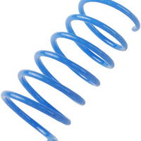 Juguetes de primavera para gatos estilo Tamu (60 unidades), bobinas divertidas para gatitos, plástico libre de BPA para swatting, morder, caza y juego saludable activo, espirales coloridas de 2.0 in - BESTMASCOTA.COM