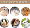 Supmaker Hamster Chew Toys, Guinea Pig Toys Natural Wooden Gerbil Rats Chinchillas Toys Accessories Dumbells Exercise Bell Roller Teeth Care Molar Toy for Birds Bunny Rabbits Gerbils - BESTMASCOTA.COM