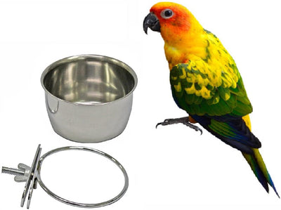 Acero inoxidable de aves Hanging Bol Parrot salientes con Clamp Holder – Soporte Jaula para Pájaros Tazas de agua Alimentación Alimentación Tazón - BESTMASCOTA.COM